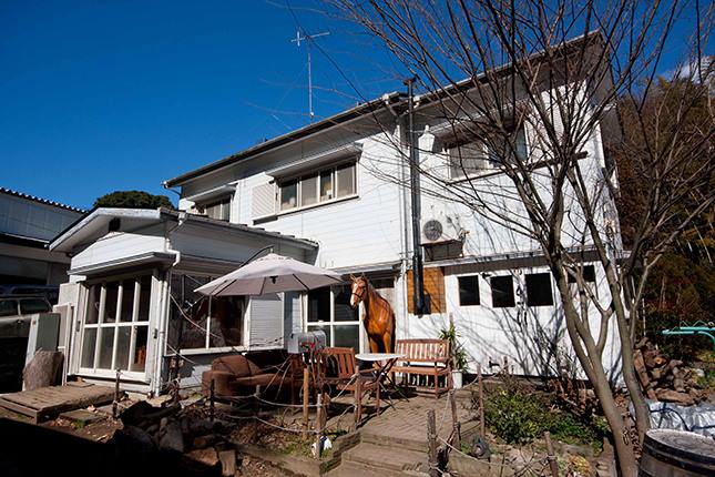 (cap)ホーストレッキングファーム三浦海岸。馬に目を奪われる。 credit:ホーストレッキンファーム三浦海岸