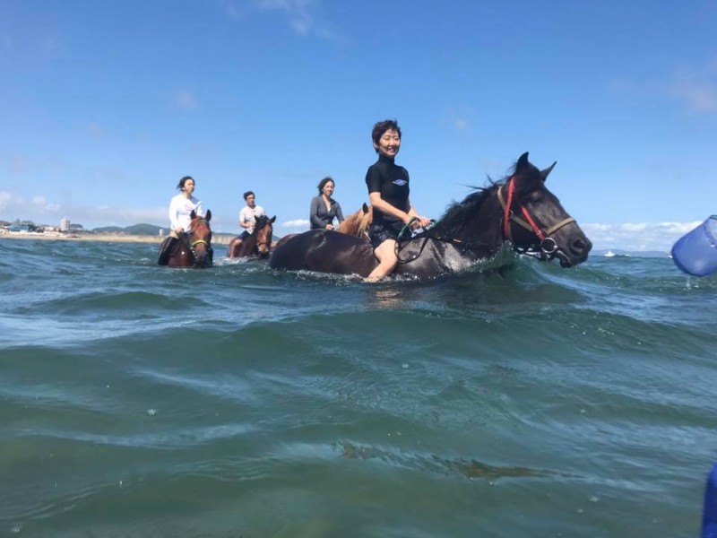 (credit:ホーストレッキンファーム三浦海岸)