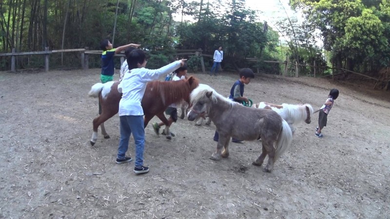 （credit：ホーストレッキンファーム三浦海岸）