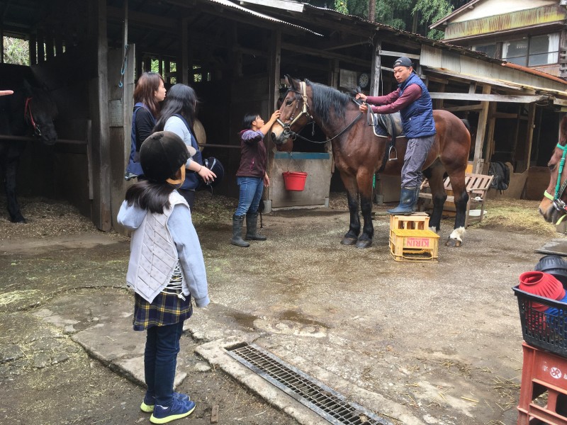 （cap  大きな馬を目の前にしてちょっと緊張する子ども）
