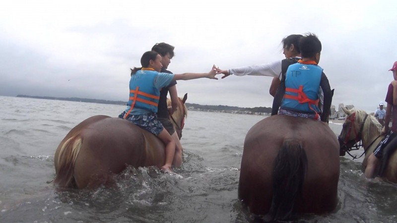 （credit：ホーストレッキンファーム三浦海岸）