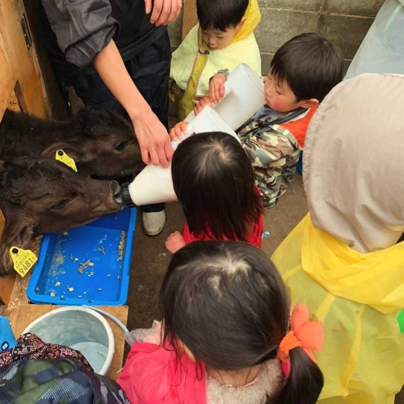 miyoshi_farm-aoi_hashimoto-img04