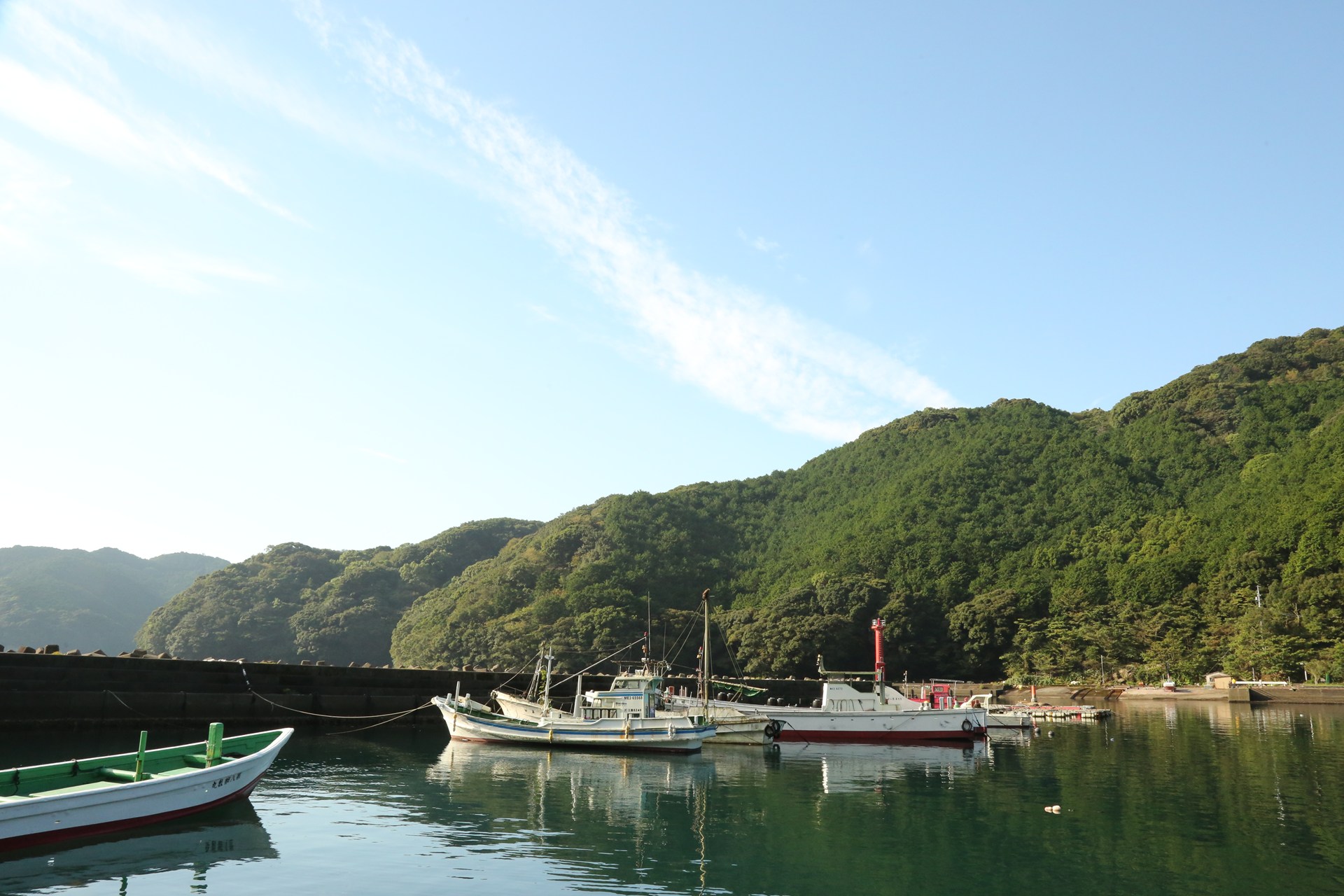 自然豊かな早田町。