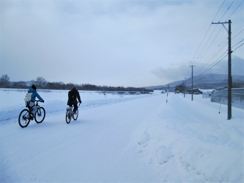 冬の下川を走るリンリン倶楽部の皆さん